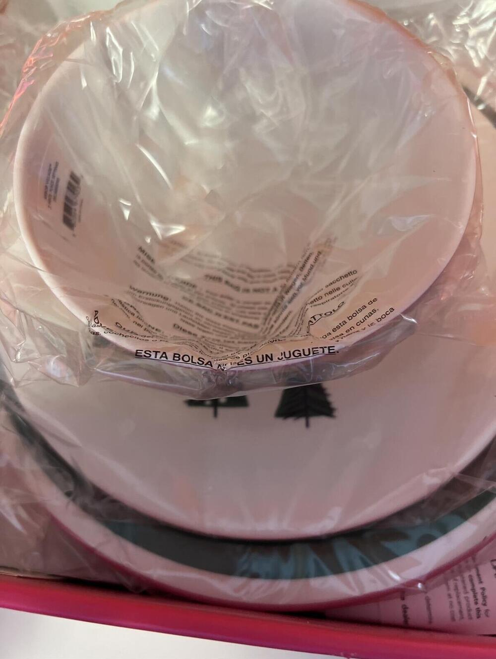 Kate Spade New York Arbor Village Oblong Platter 15.75" New in Box - Picture 10 of 13